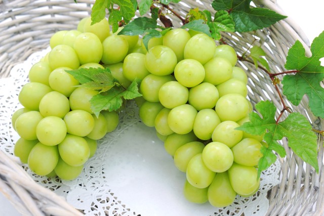 外壁を緑でおしゃれに｜ナチュラルにもモダンにも映える人気カラーの魅力