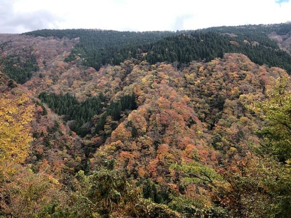 住宅事情