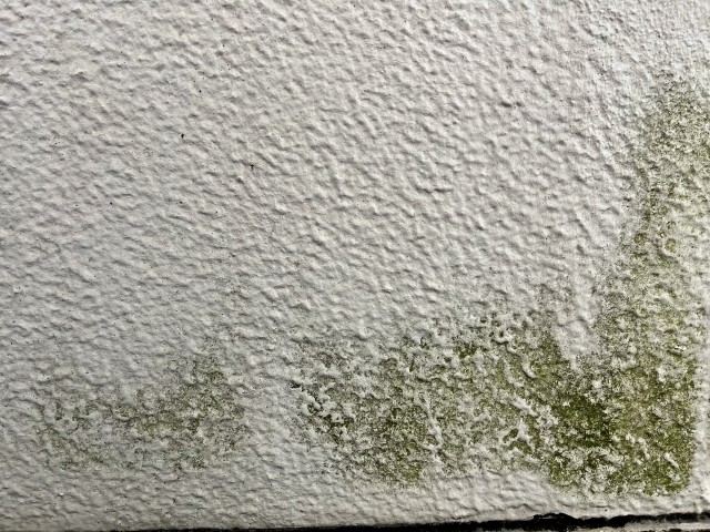 住宅事情湿気が多く、カビ・コケが発生しやすい