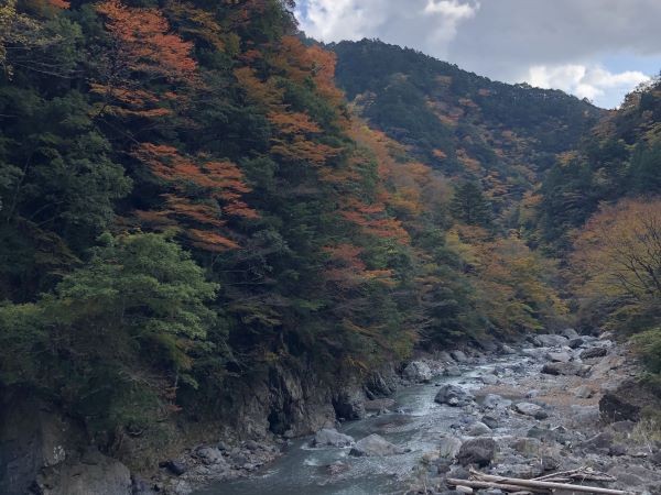 地理・自然環境