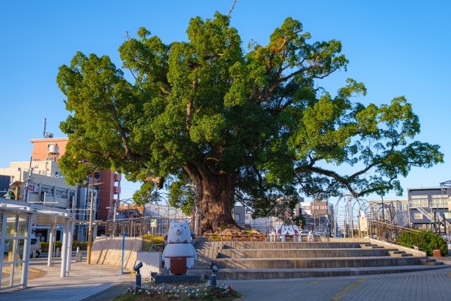 静岡県磐田市での外壁塗装・屋根塗装のポイント