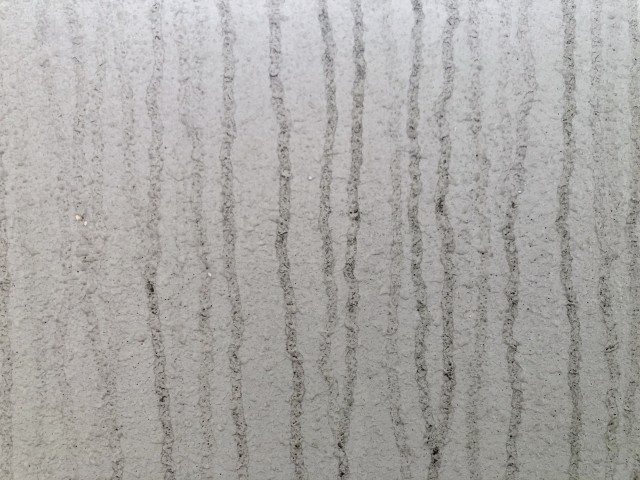 黒い汚れや変色が目立ちやすい