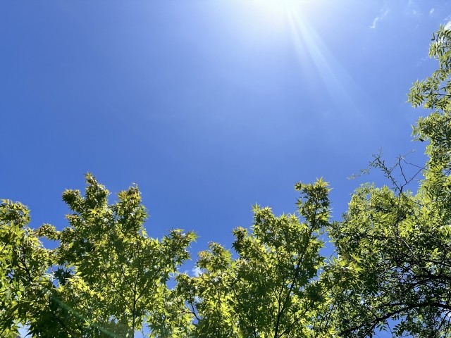 外壁塗装が可能な気候条件とは